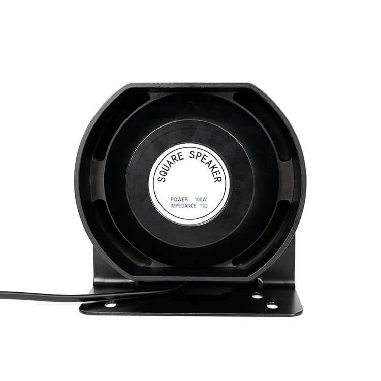Speaker 100W Kab